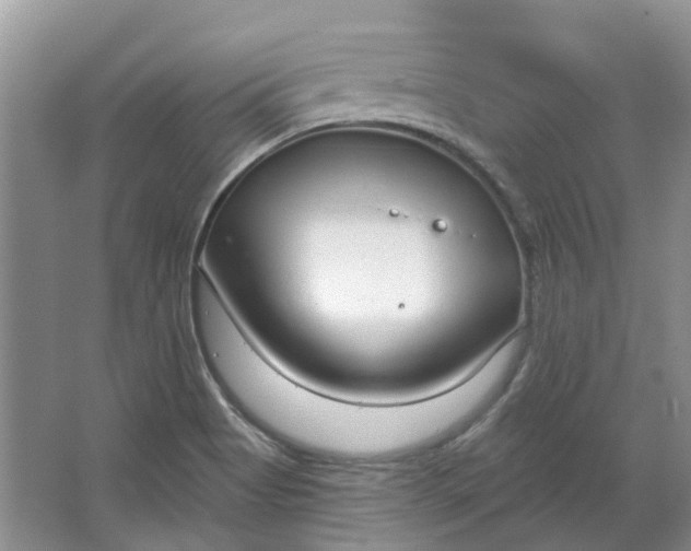 X0000064721513200602241619