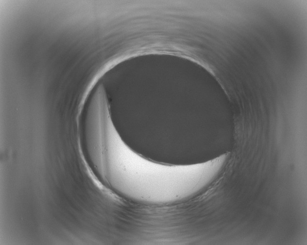 X0000064721515200602241619