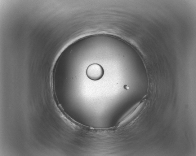 X0000064721516200602241619