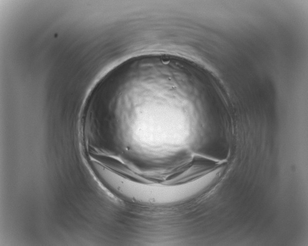 X0000064721517200602241619