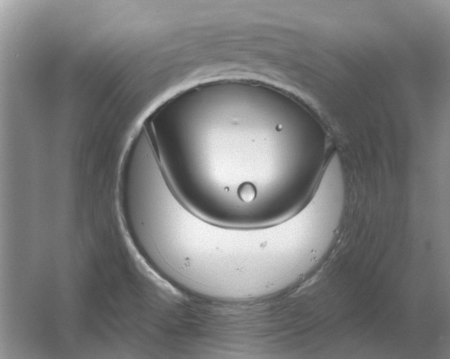 X0000064721518200602241619