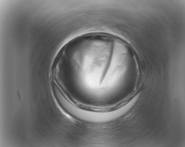 X0000064721519200602241619