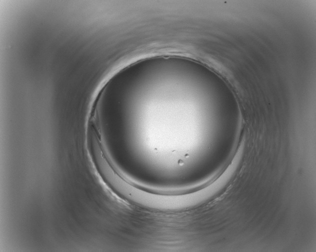 X0000064721520200602241619