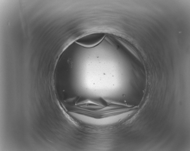 X0000064721521200602241619