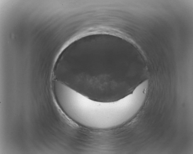 X0000064721522200602241619