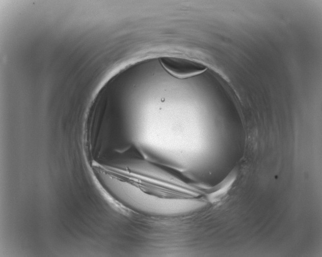 X0000064721523200602241619