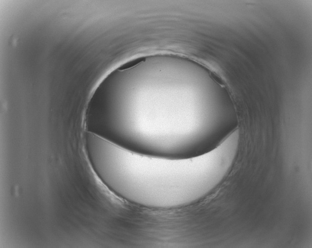 X0000064721524200602241619