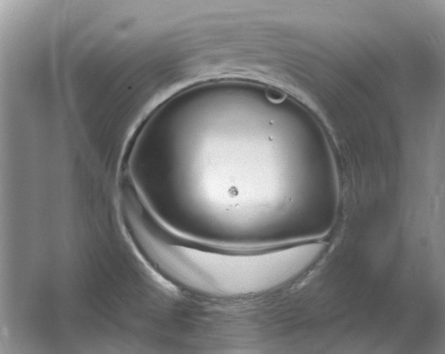 X0000064721525200602241619