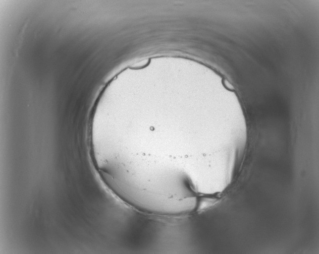 X0000064721526200602241619