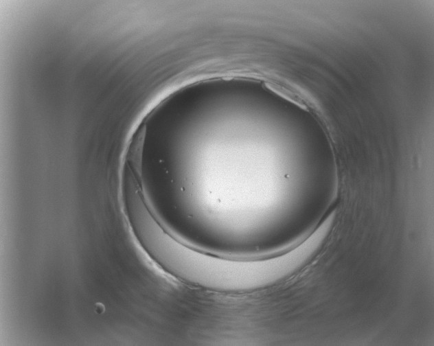 X0000064721528200602241619