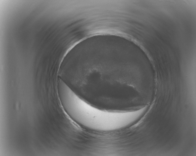 X0000064721529200602241619