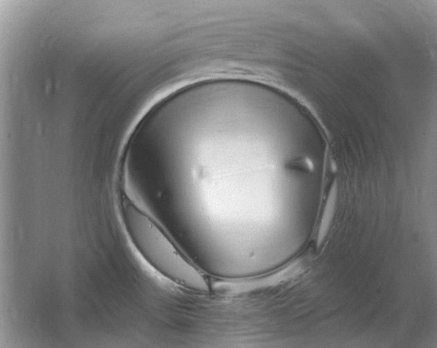 X0000064721531200602241619