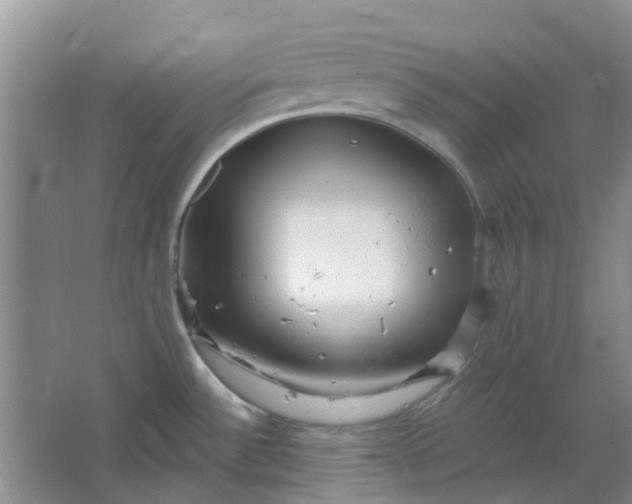 X0000064721532200602241619