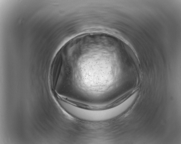 X0000064721533200602241619