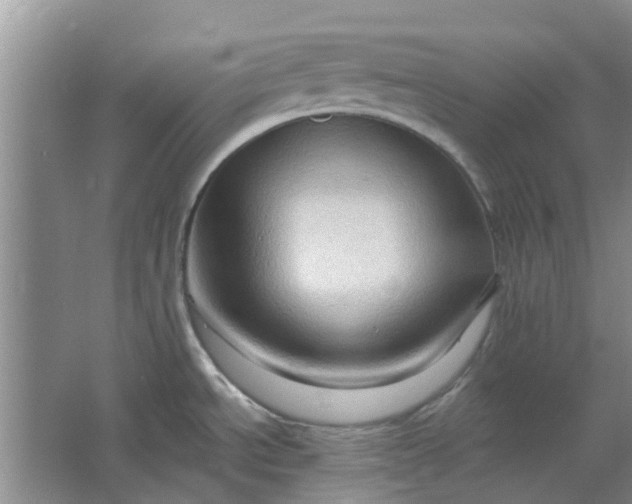 X0000064721534200602241620