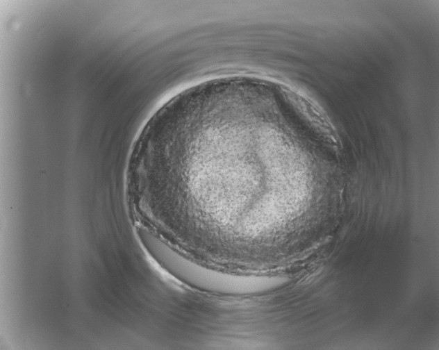 X0000064721535200602241620