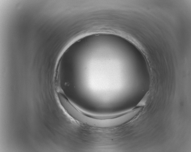 X0000064721536200602241620