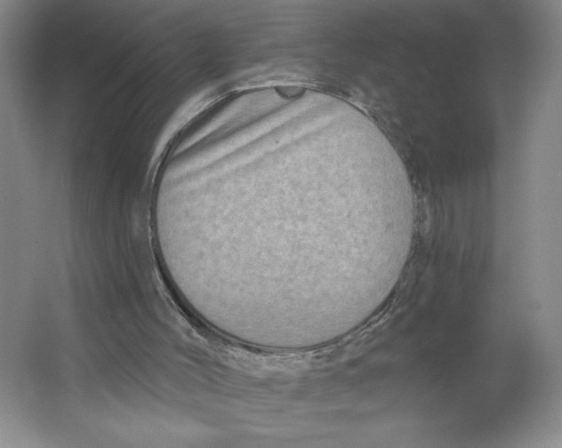 X0000064720004200603031628