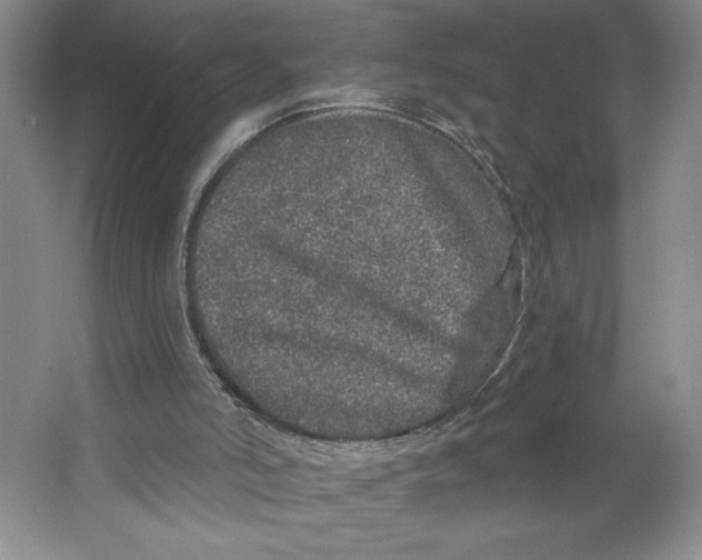 X0000064720006200603031628
