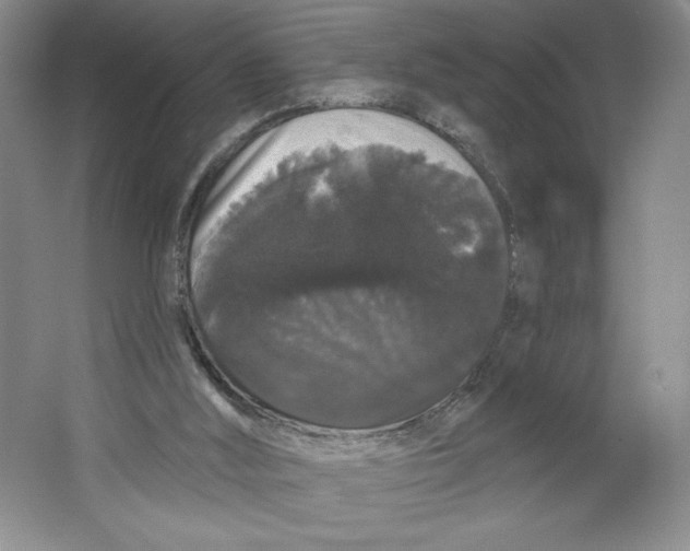 X0000064720012200603031627