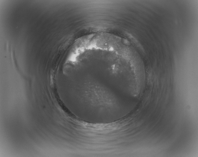 X0000064720026200603031627