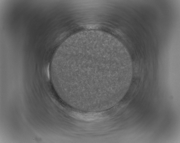 X0000064720028200603031627