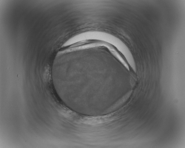 X0000064720029200603031627