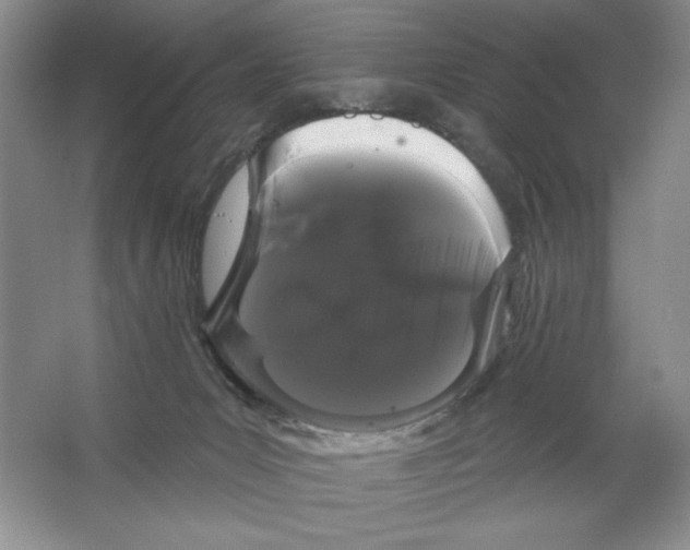 X0000064720031200603031627