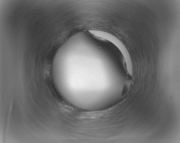 X0000064720033200603031627