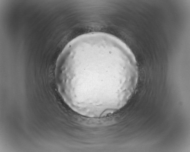 X0000064720034200603031627