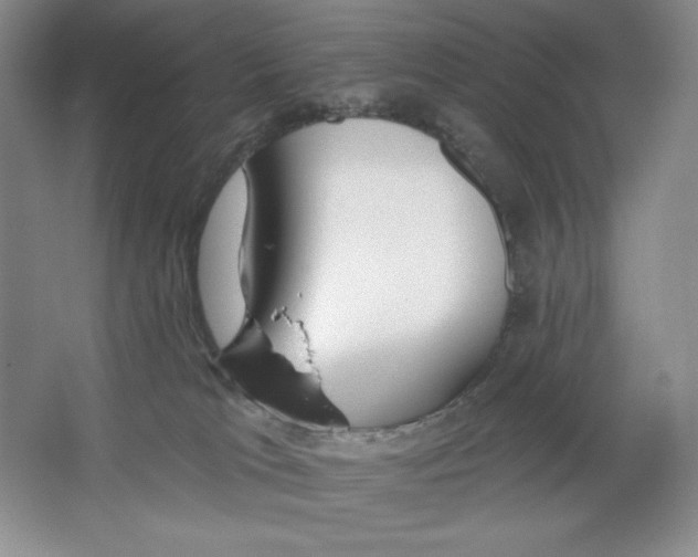 X0000064720037200603031627