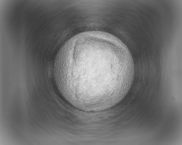 X0000064720038200603031627