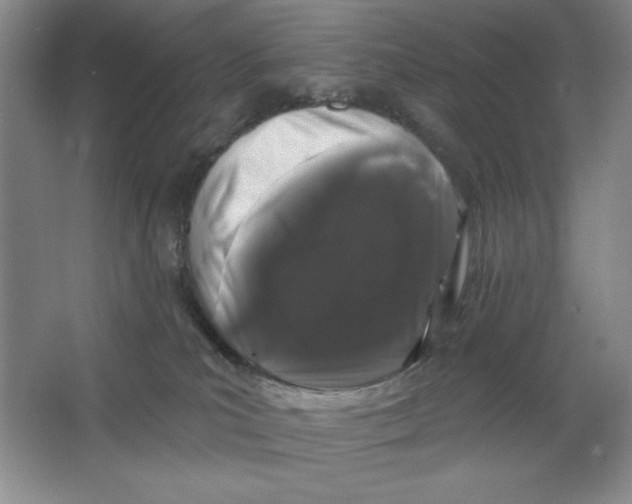 X0000064720039200603031627