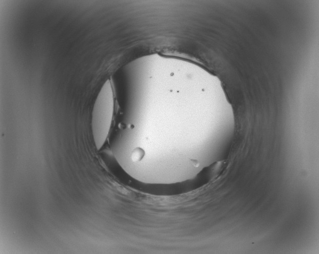X0000064720041200603031627