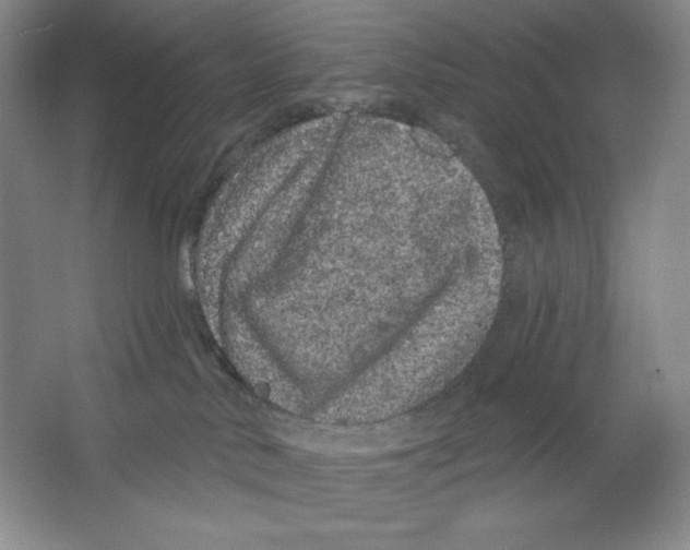 X0000064720042200603031627