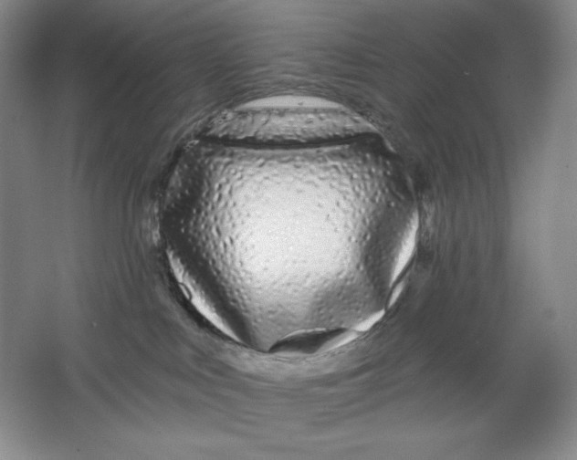 X0000064720043200603031627