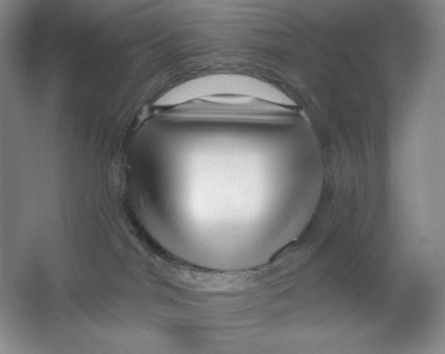 X0000064720044200603031627