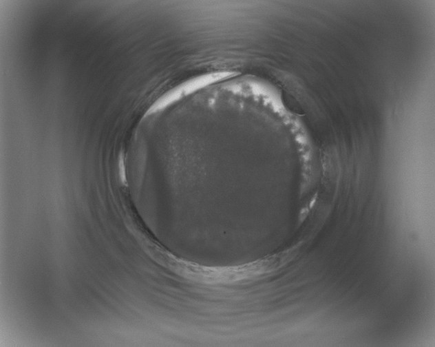 X0000064720046200603031627