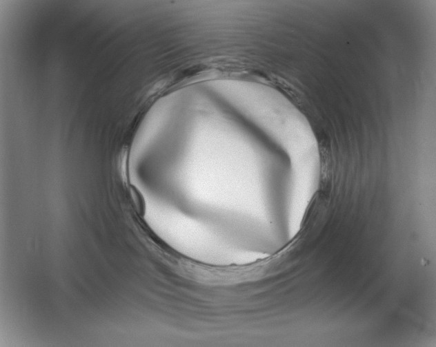 X0000064720047200603031627