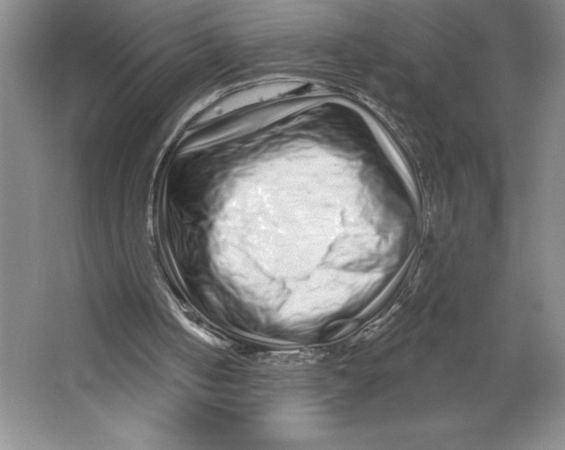 X0000064720050200603031626