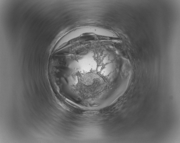 X0000064720051200603031626