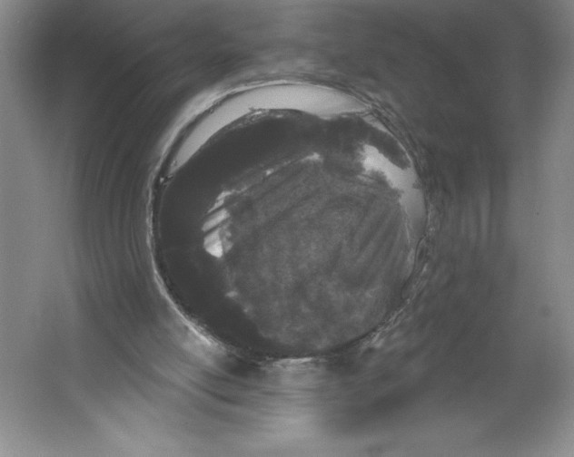 X0000064720054200603031626