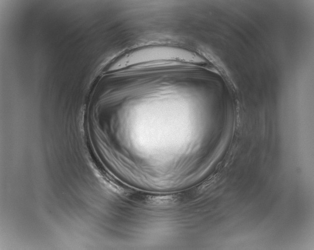 X0000064720058200603031626