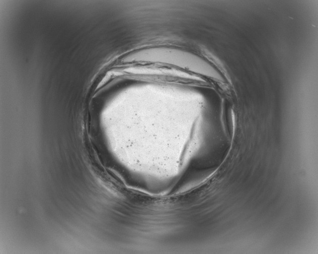 X0000064720059200603031626