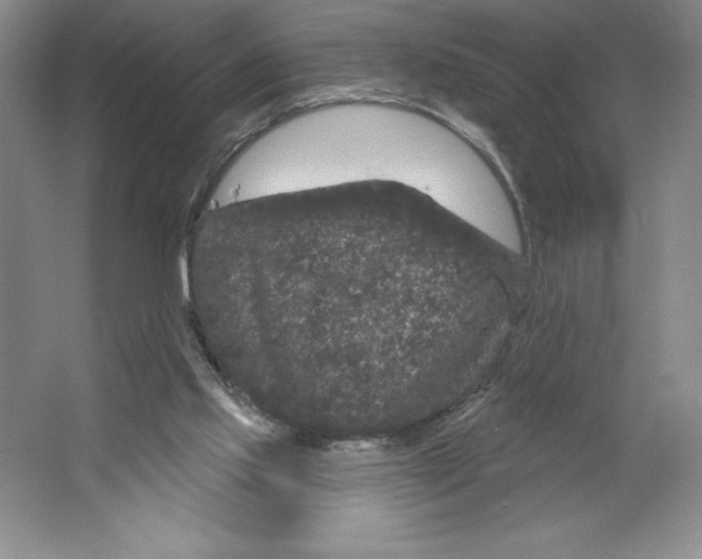 X0000064720061200603031626