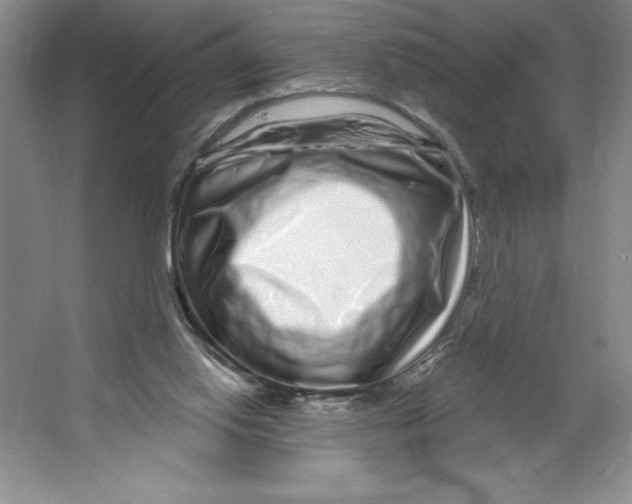 X0000064720062200603031626