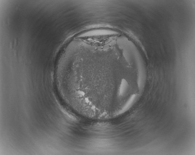 X0000064720063200603031626