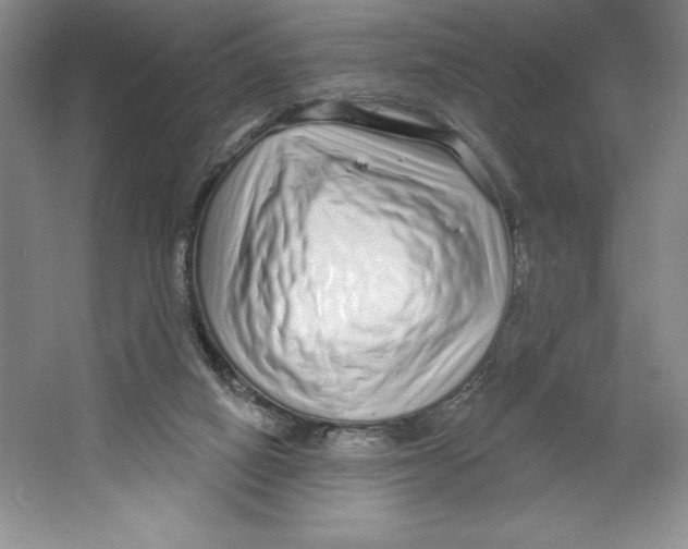 X0000064720066200603031626