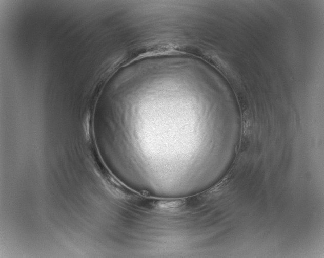 X0000064720070200603031626
