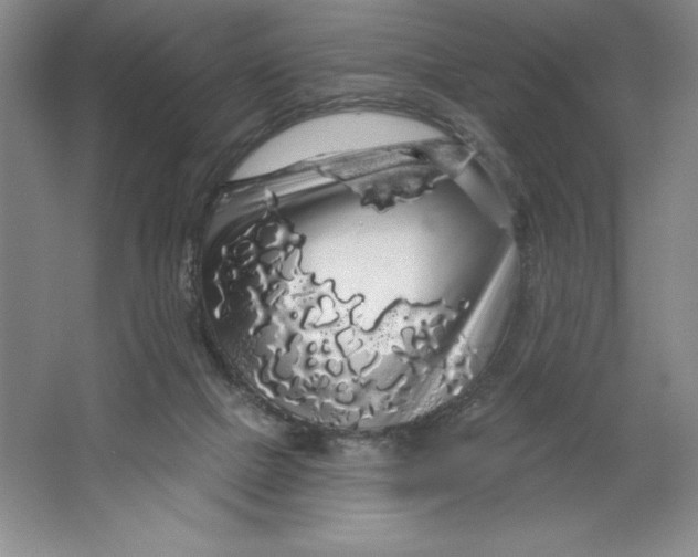X0000064720073200603031626